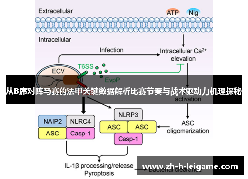 从B席对阵马赛的法甲关键数据解析比赛节奏与战术驱动力机理探秘 从B席对阵马赛的法甲关键数据解析比赛节奏与战术驱动力机理探秘